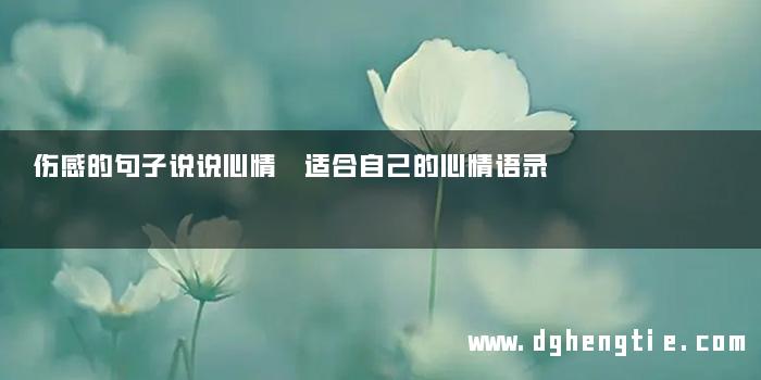 伤感的句子说说心情 适合自己的心情语录